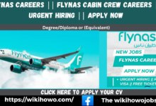 flynas-careers